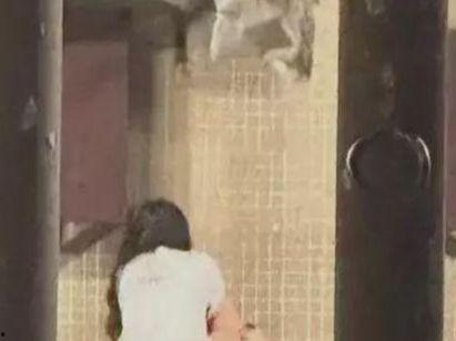 国产情侣啪啪,浪漫瞬间,甜蜜回忆