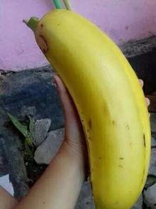 国产情侣大香蕉,甜蜜瞬间,浪漫满溢